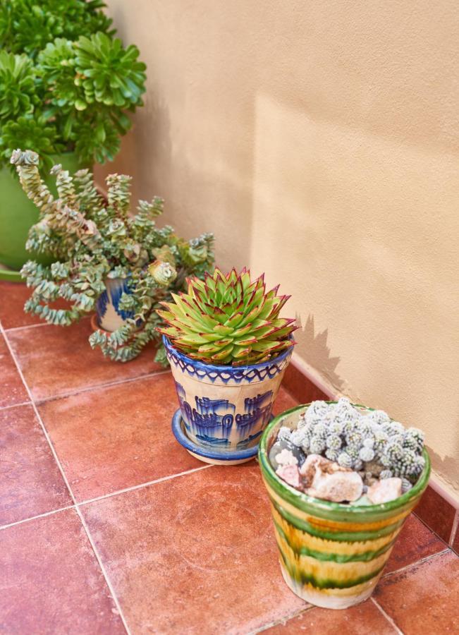 El Agave El Pozo de los Frailes Exterior photo